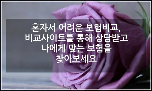 오늘의 이미지