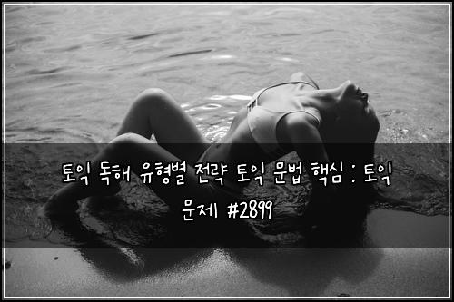 토익 독해 유형별 전략 토익 문법 핵심 : 토익 문제 #2899