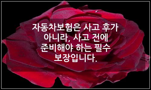 오늘의 이미지