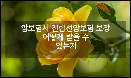 오늘의 이미지