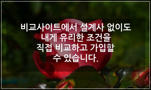 오늘의 이미지