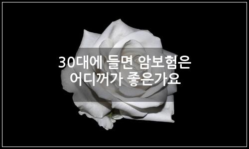 오늘의 이미지