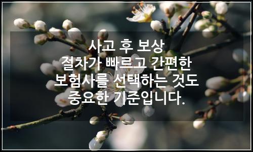 오늘의 이미지
