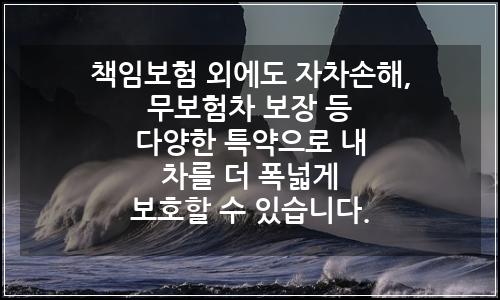 오늘의 이미지