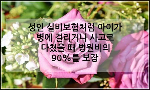 오늘의 이미지