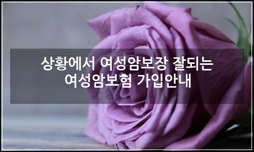 오늘의 이미지