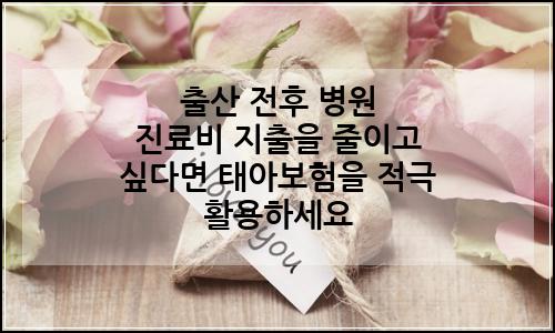 오늘의 이미지