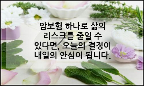오늘의 이미지