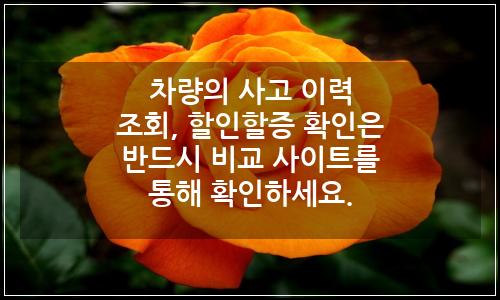 오늘의 이미지
