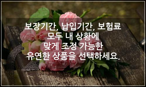 오늘의 이미지
