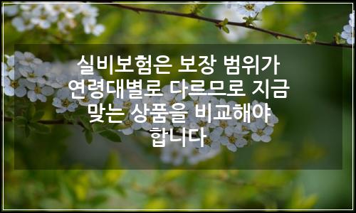 오늘의 이미지