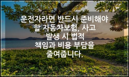 오늘의 이미지