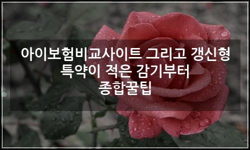 오늘의 이미지