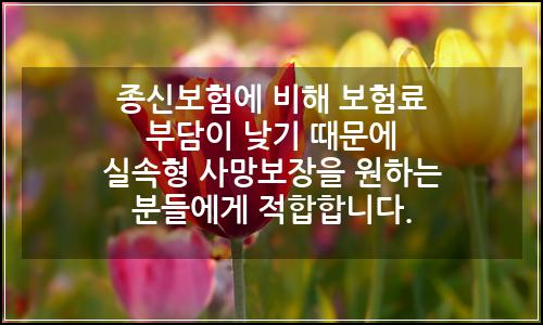 오늘의 이미지