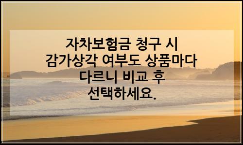 오늘의 이미지
