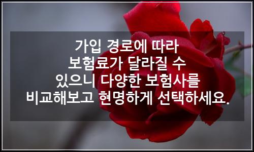 오늘의 이미지