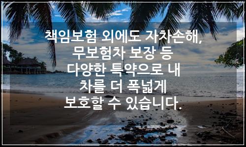 오늘의 이미지