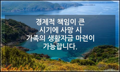 오늘의 이미지