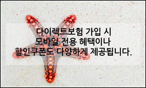 오늘의 이미지