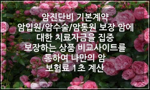 오늘의 이미지