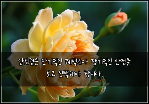 암보험은 단기적인 혜택보다 장기적인 안정을 보고 선택해야 합니다.