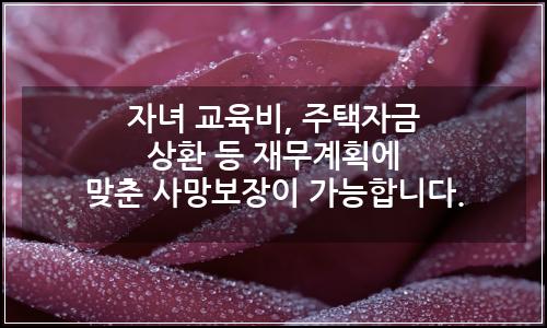 오늘의 이미지
