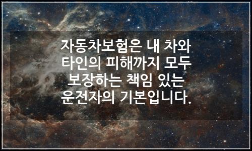 오늘의 이미지