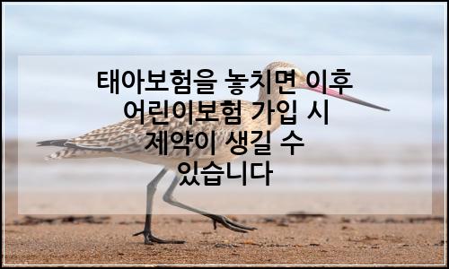 오늘의 이미지