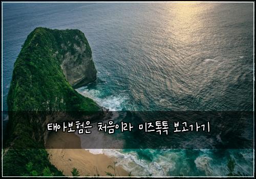 태아보험은 처음이라 미즈톡톡 보고가기