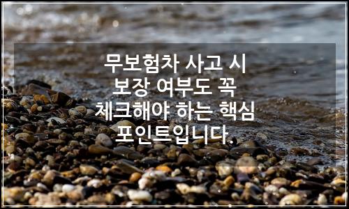 오늘의 이미지