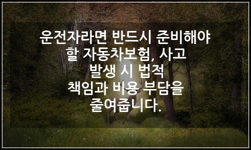 오늘의 이미지