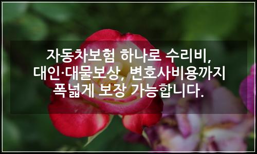 오늘의 이미지