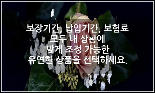 오늘의 이미지