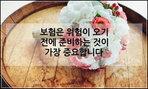 오늘의 이미지