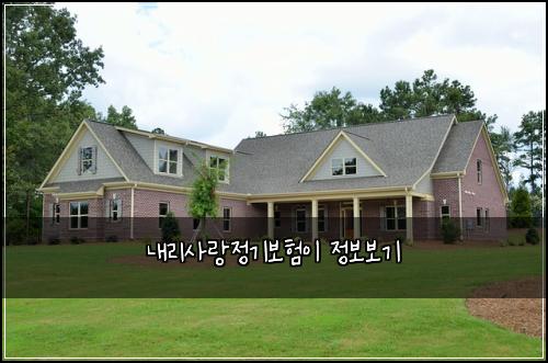 내리사랑정기보험이 정보보기