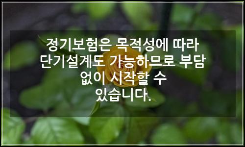 오늘의 이미지