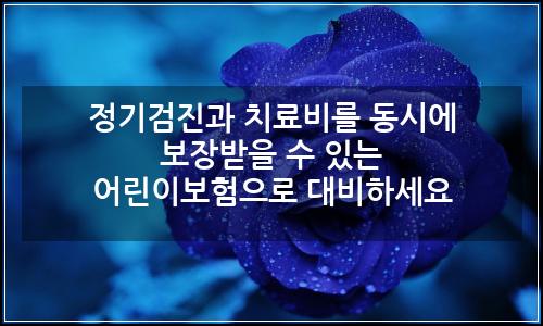 오늘의 이미지