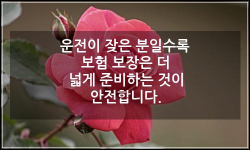 오늘의 이미지