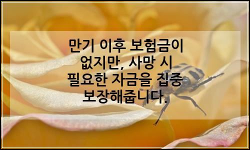 오늘의 이미지