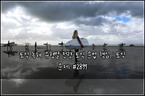 토익 독해 유형별 전략 토익 문법 핵심 : 토익 문제 #2899