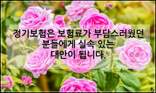 오늘의 이미지