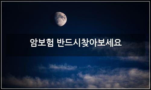 오늘의 이미지