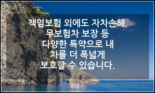 오늘의 이미지