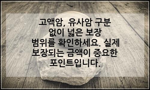 오늘의 이미지