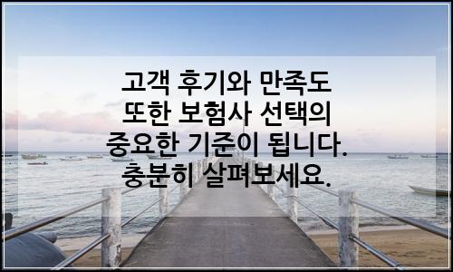 오늘의 이미지