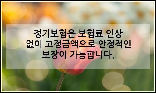 오늘의 이미지
