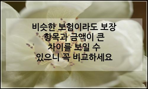 오늘의 이미지