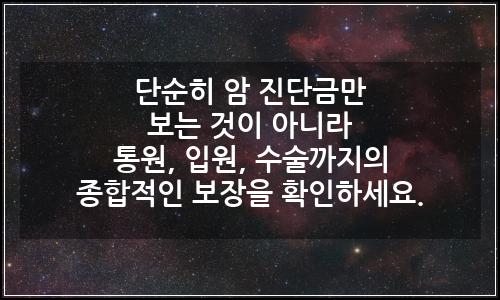 오늘의 이미지