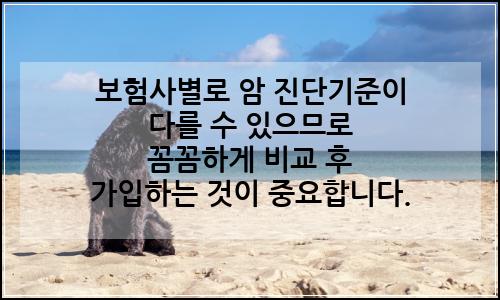 오늘의 이미지