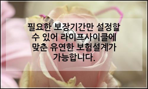오늘의 이미지